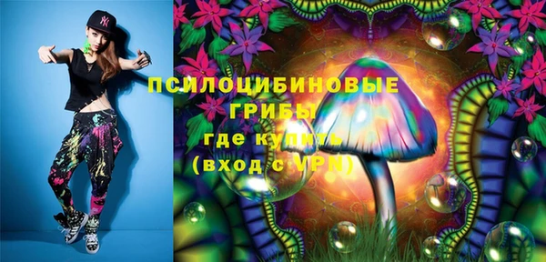 ГАЛЛЮЦИНОГЕННЫЕ ГРИБЫ Гусь-Хрустальный