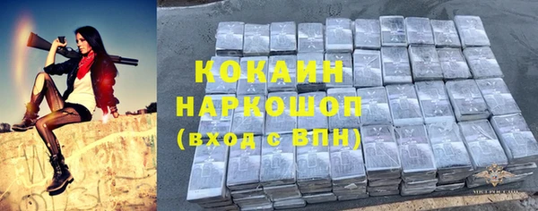 ГАЛЛЮЦИНОГЕННЫЕ ГРИБЫ Гусь-Хрустальный