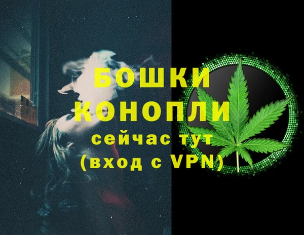 СК Гусев