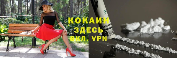 СК Гусев